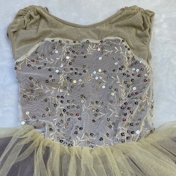 Weissman Dance Costume 12413 Girls Size LC(14) Time After Time French Mauve Tutu - Picture 7 of 16